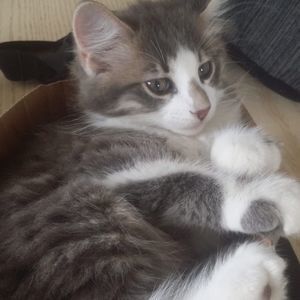 Meet your Posher, Oceanne